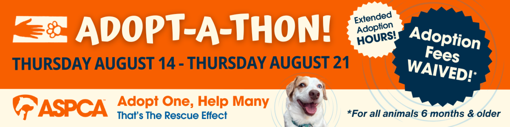 Page_Banner_Adoptathon.png