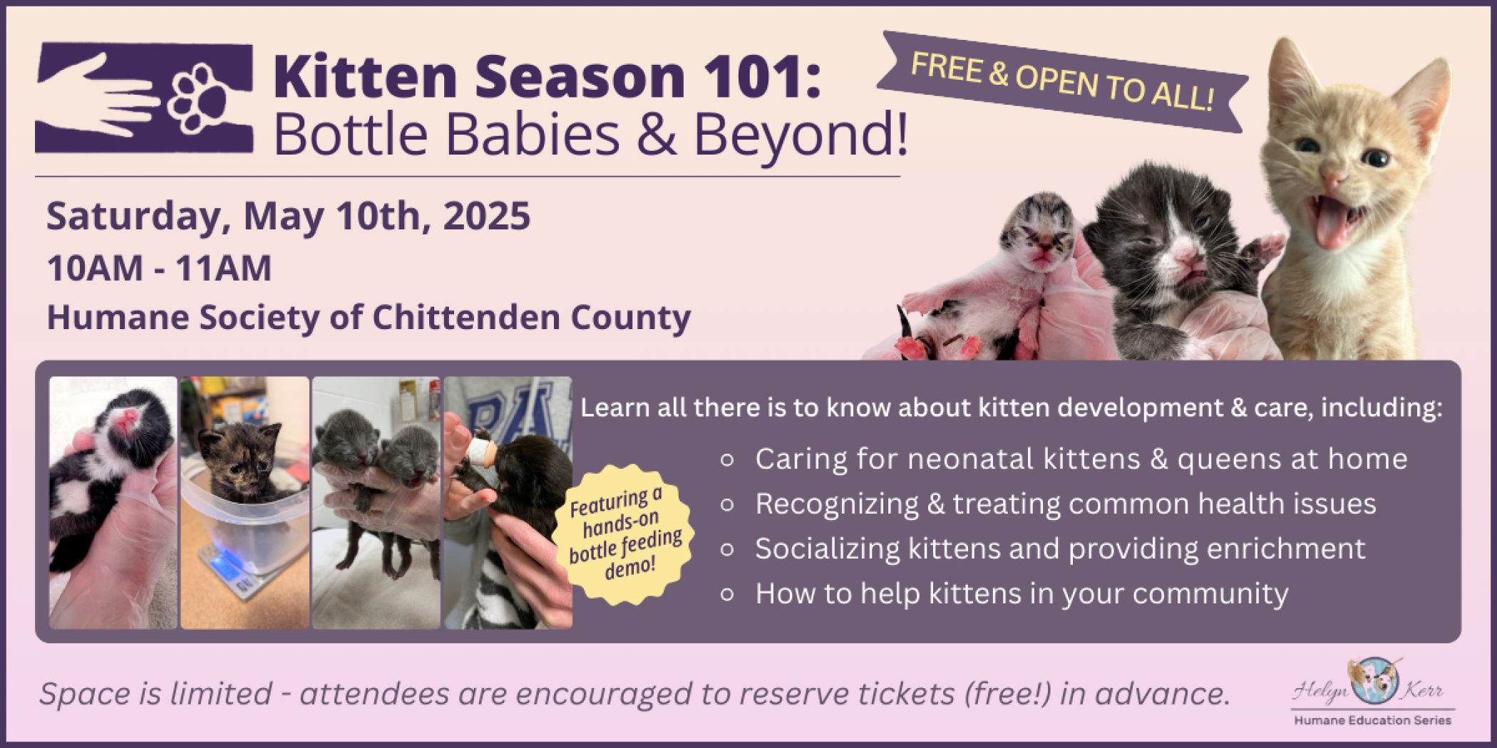 Kitten_Season_25_FB_NE.png