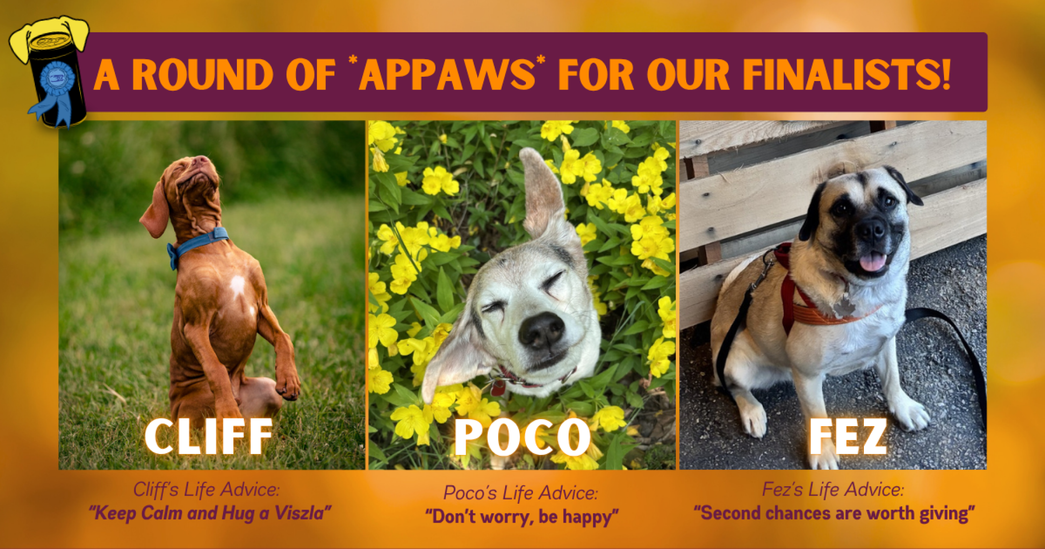 2025_Finalists_Top_Dog.png