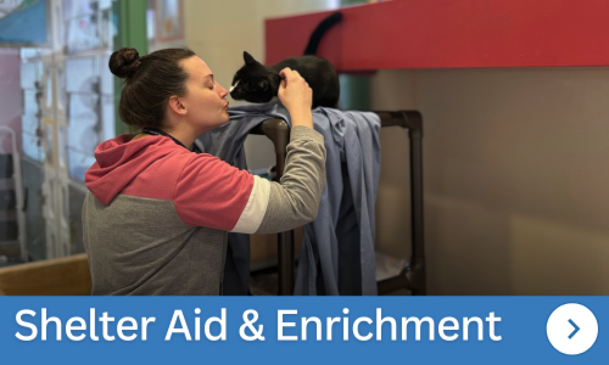 Shelter_Aid.png