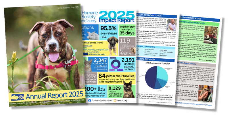 Annual_Report_26_News_Events1.png