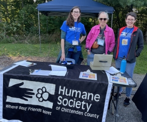 MicrosoftTeams-image_2023-09-01T092804_042.png