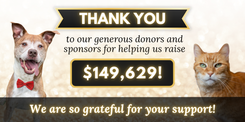 BFB_26_Thank_You.png