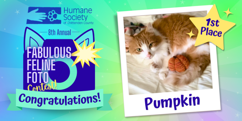 Winner_Pumpkin.png