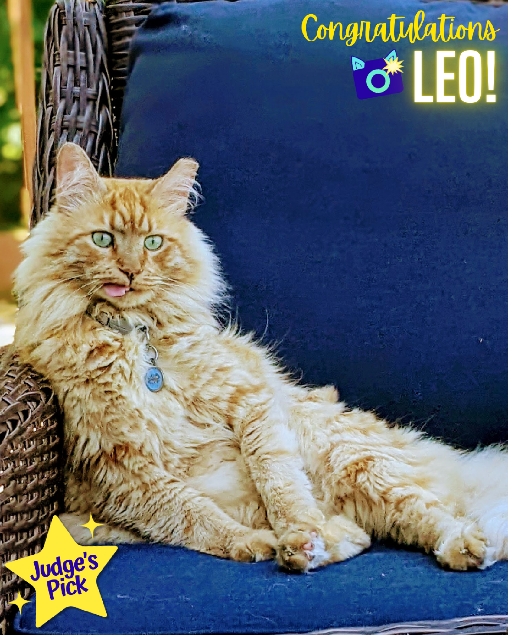 Fab_Feline_2025_Leo.png
