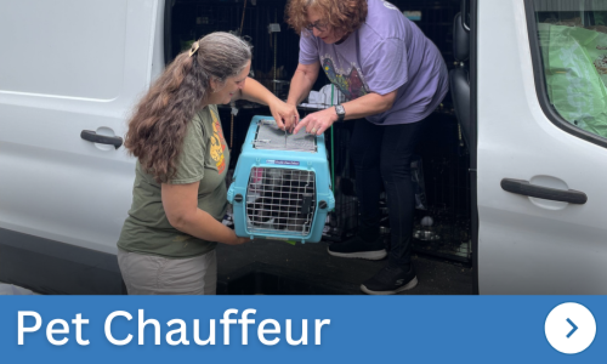 Pet_Chauffeur.png