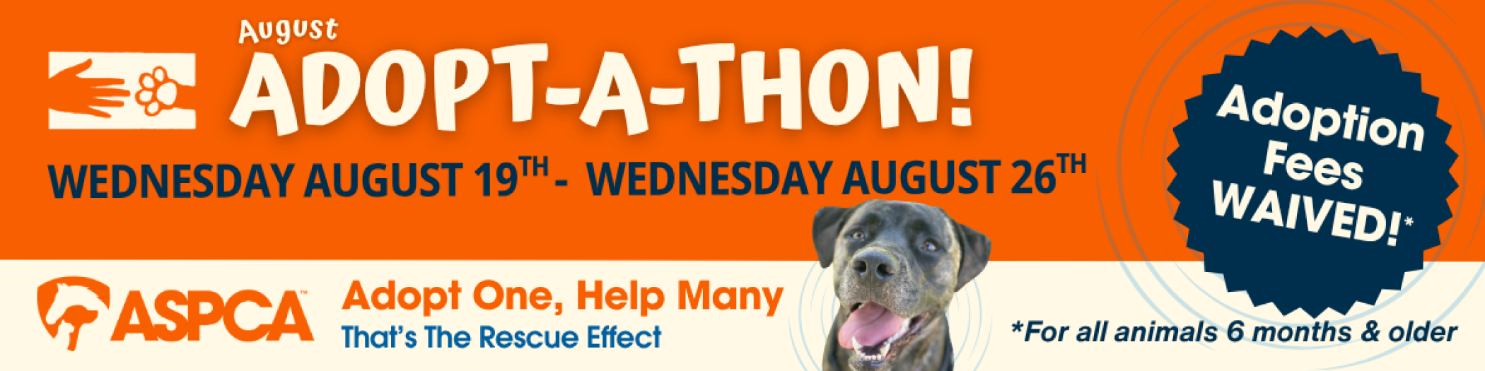 August_26_Adoptathon_Dog-0001.png
