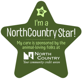 NCFCU_Star_Logo.png