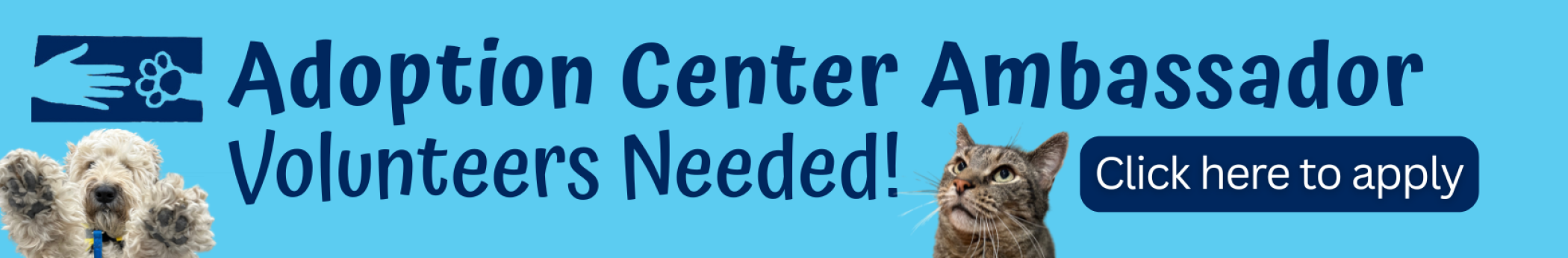 Volunteer_Page_Banner_ACA.png