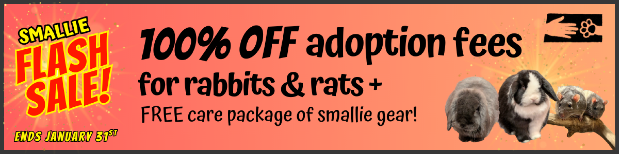 smallie_promo_banner.png