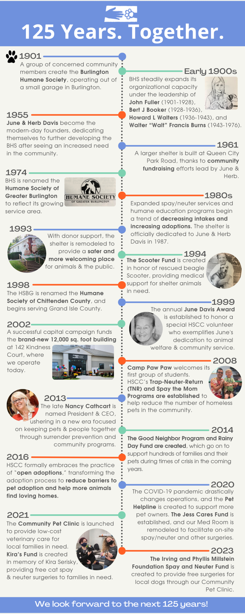 125_Timeline.png