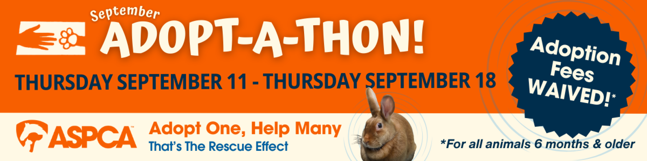 Sept_Adoptathon_Smallie.png