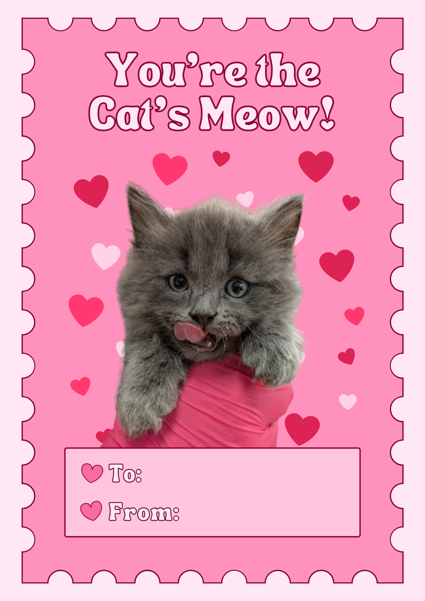Cats_Meow-0001.png