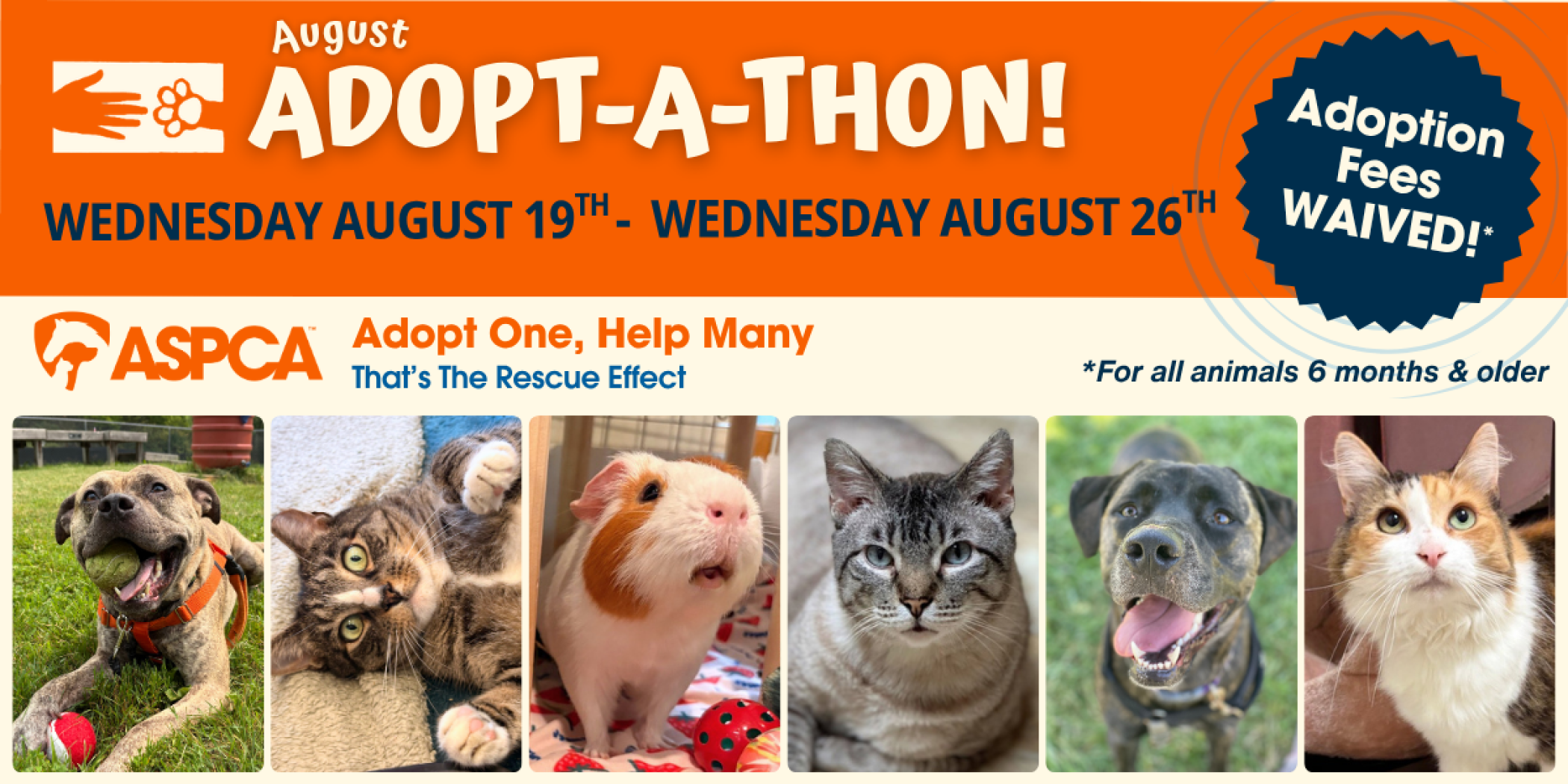 August_26_Adoptathon_News_Events-0001.png
