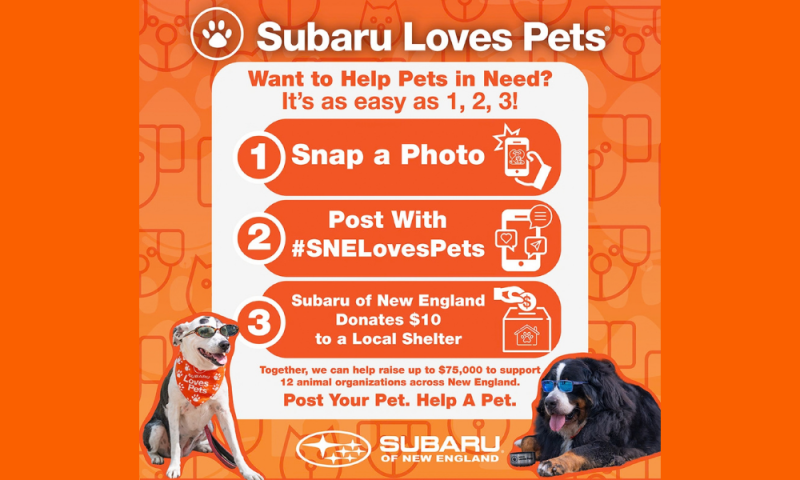 SNELovesPets26.png