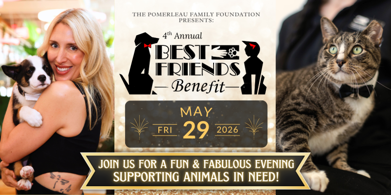 Best_Friends_Benefit_2026_NE.png