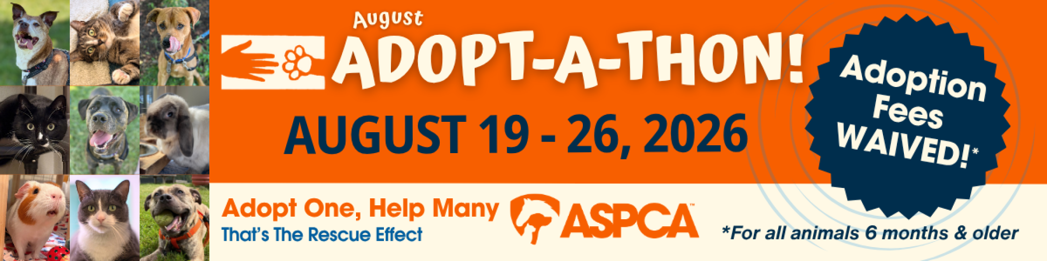 Aug_26_Adoptathon_General-0001.png