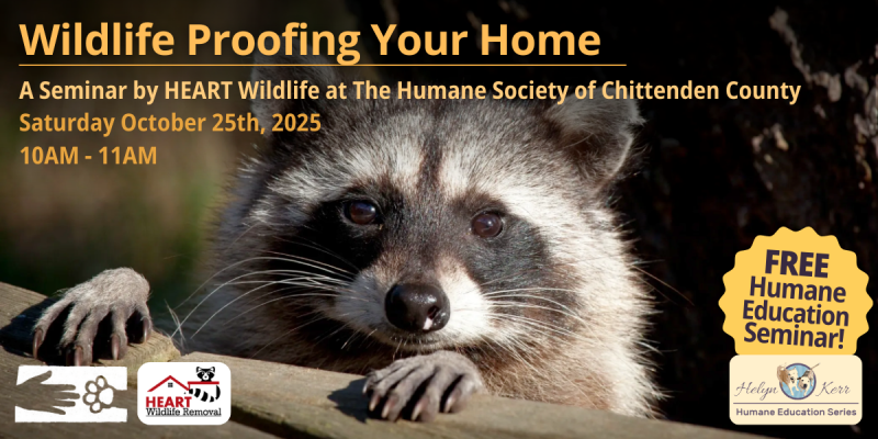 Wildlife_Proofing_Your_Home.png