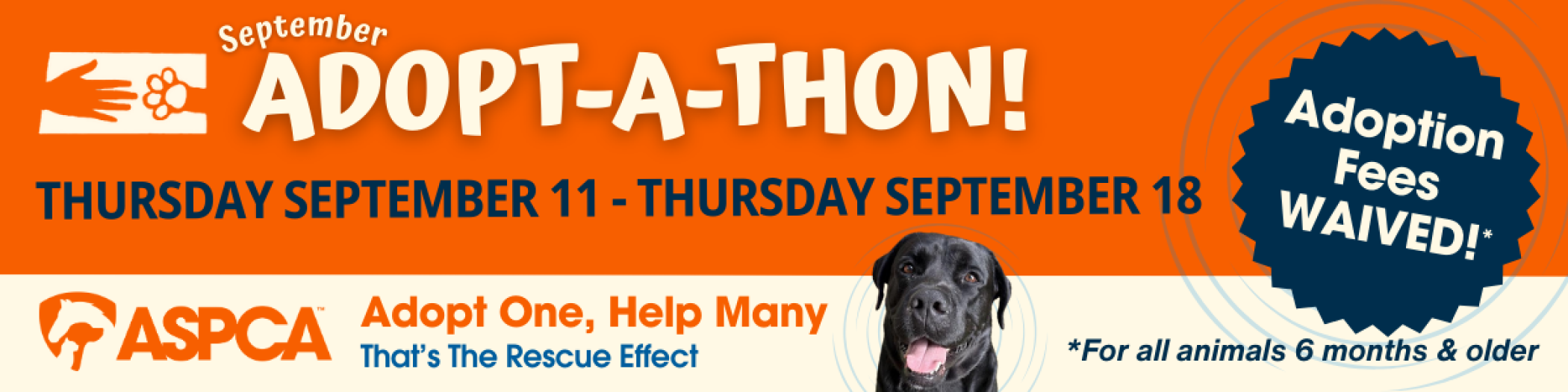 Sept_Adoptathon_Dog.png