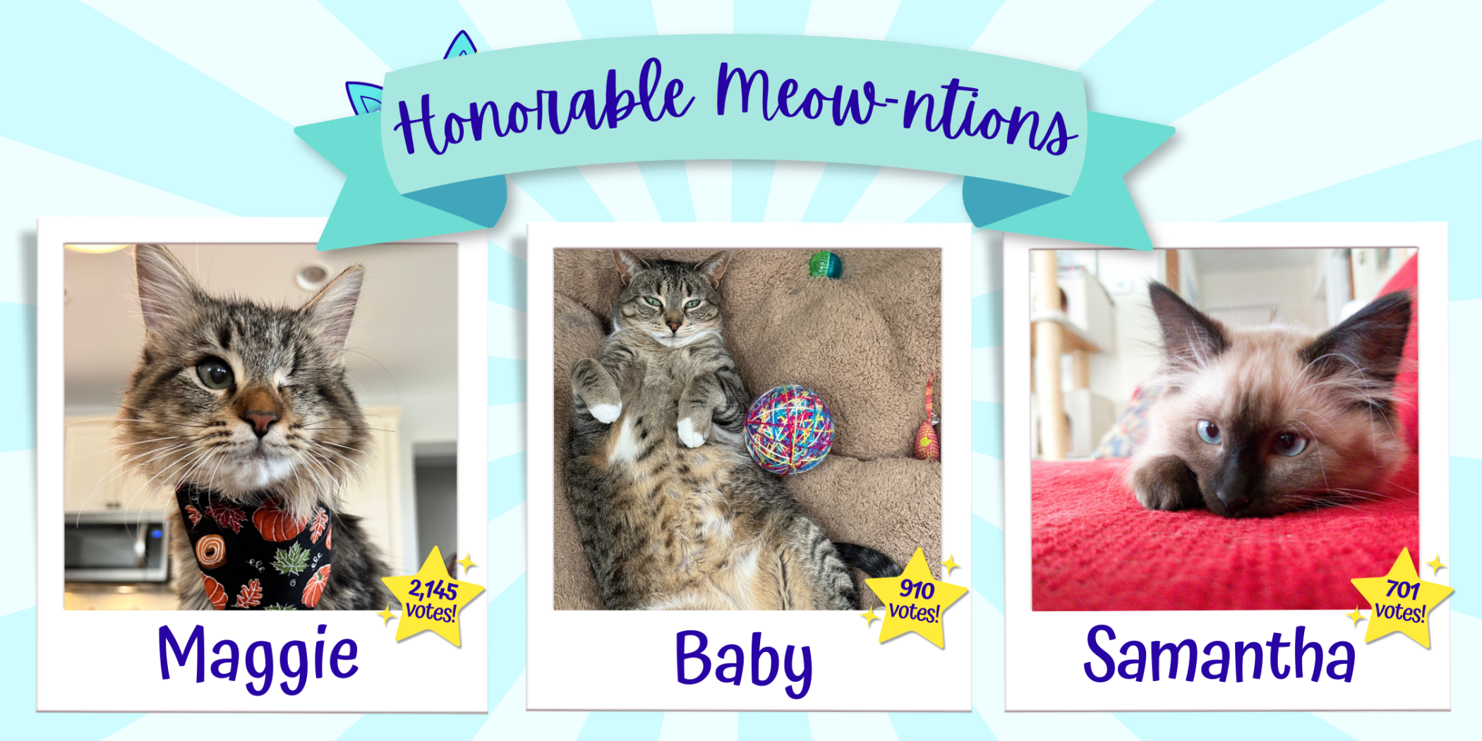 2025_Fab_Feline_News_Events_Honorable_Mentions.png