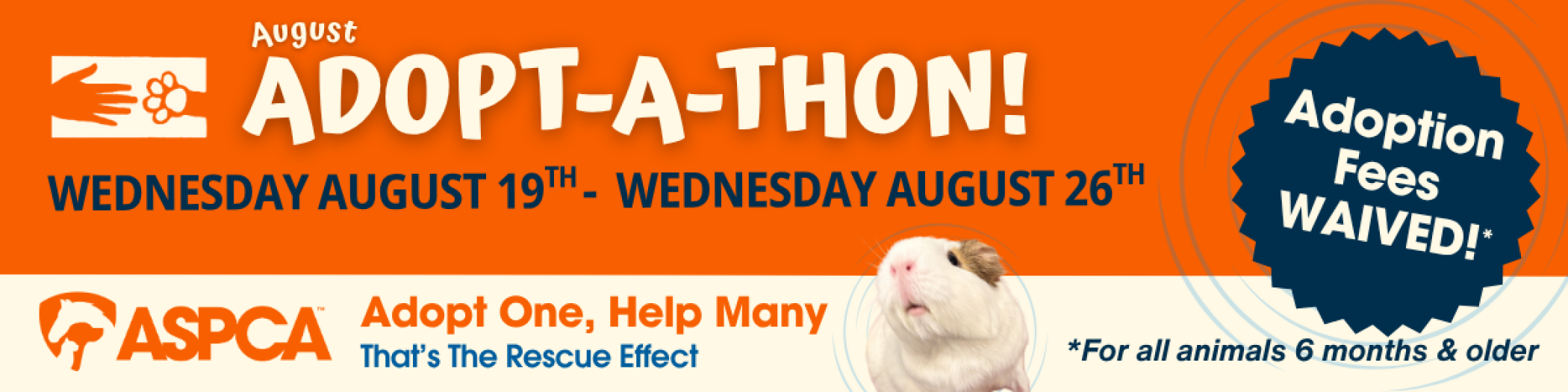 August_26_Adoptathon_Smallie-0001.png