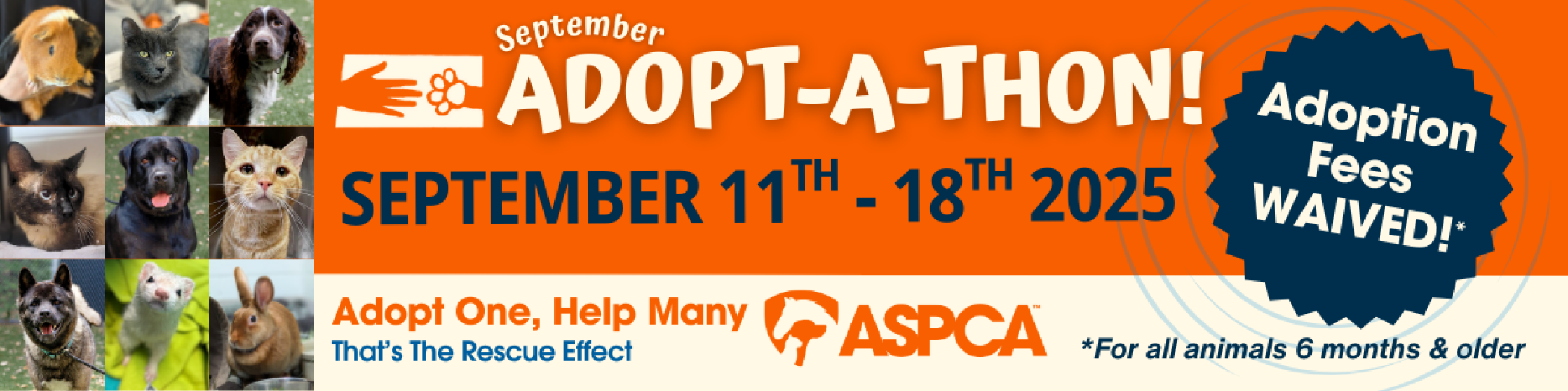 Sept_Adoptathon_General.png