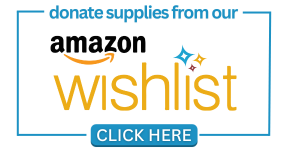 Amazon1.png