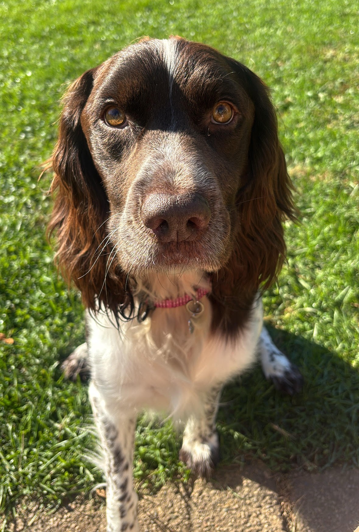 He is truly thriving