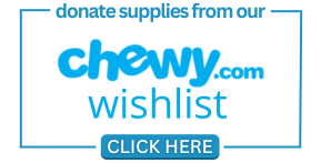 Chewy1.png