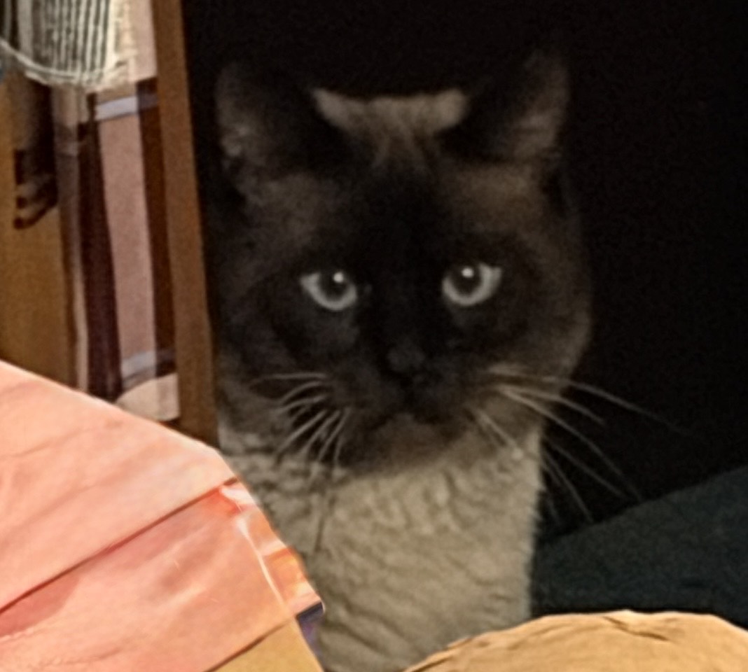 Every day, I feel truly blessed