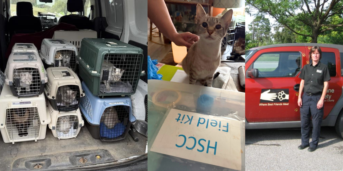 How We Protect the Most Vulnerable Animals