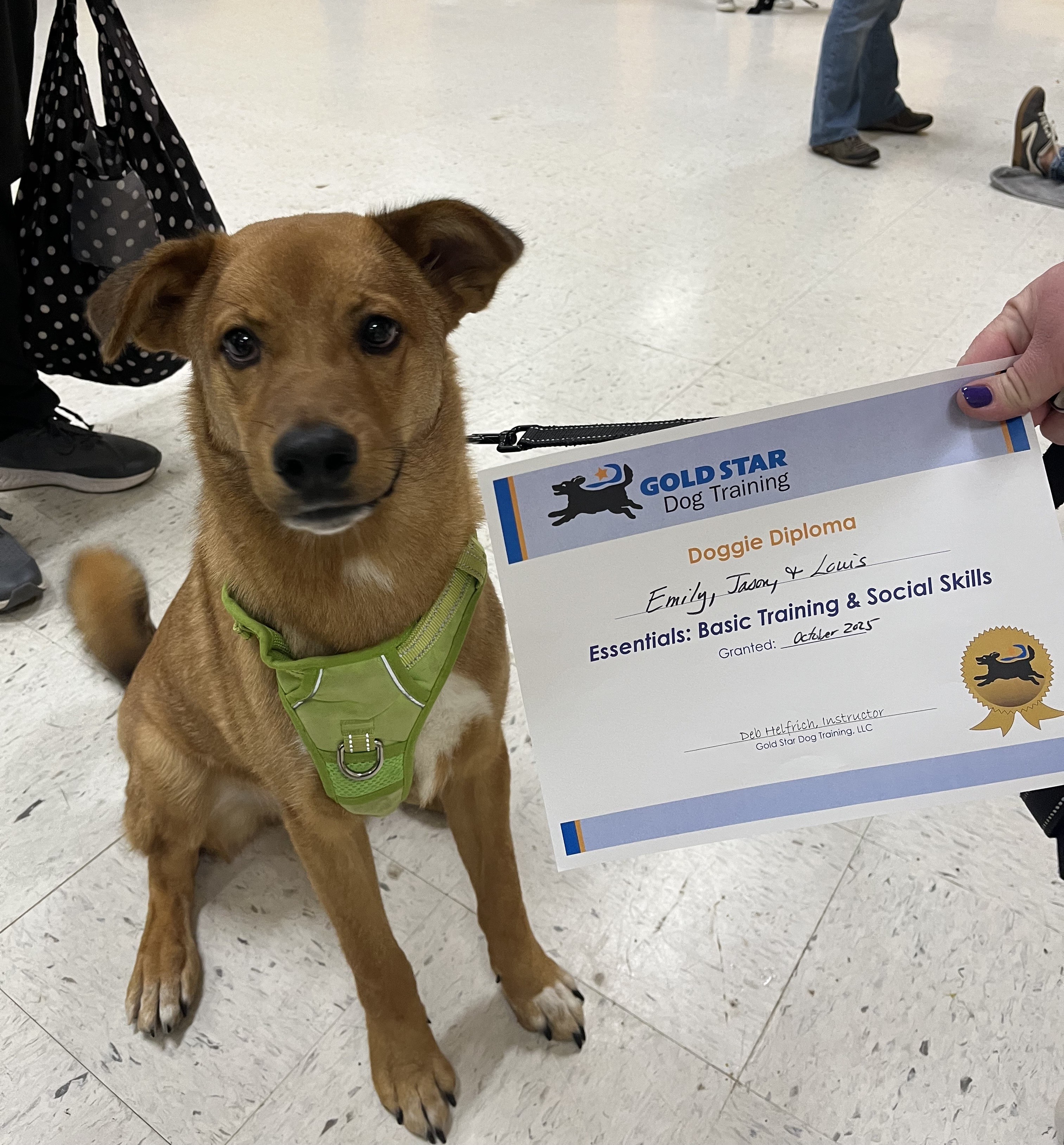 He's a training graduate now!