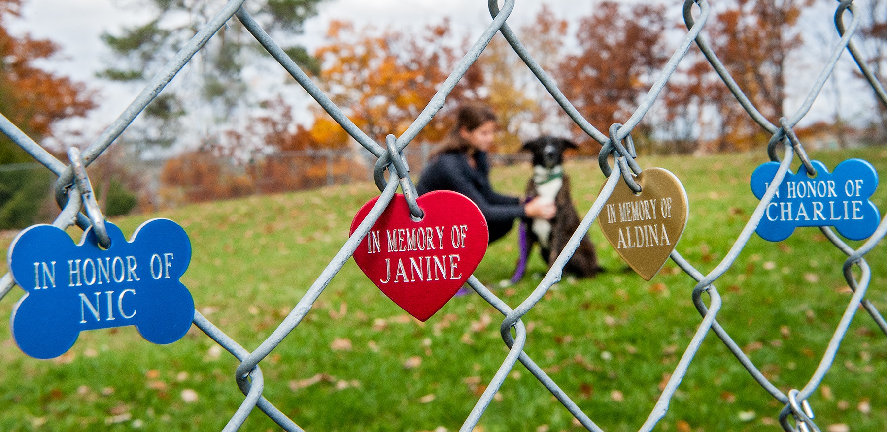 MDP_HSCC_Tags_Nov0215-3.jpg