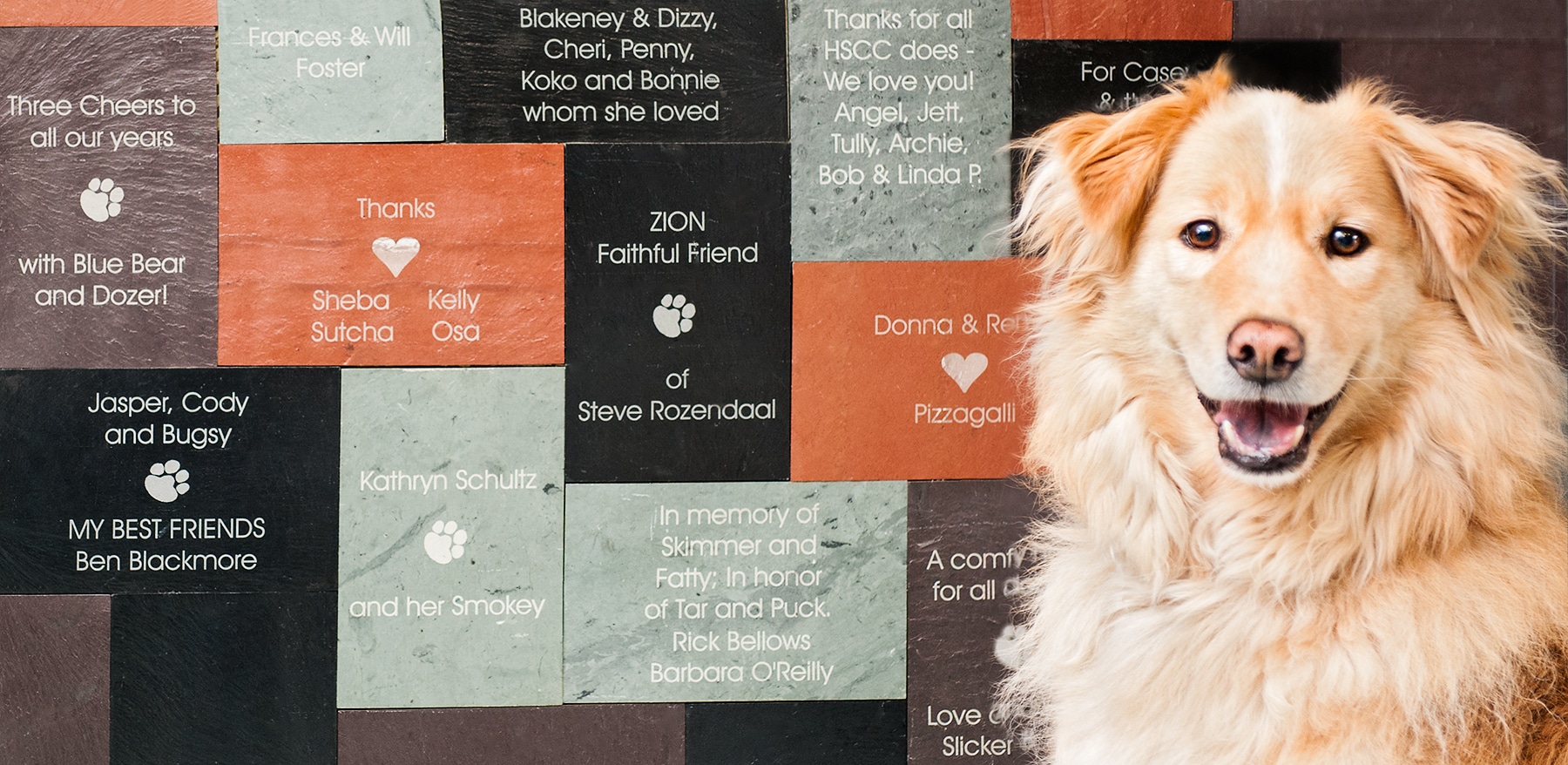 MDP_HSCC_Wall_Slate_Nov0215.jpg
