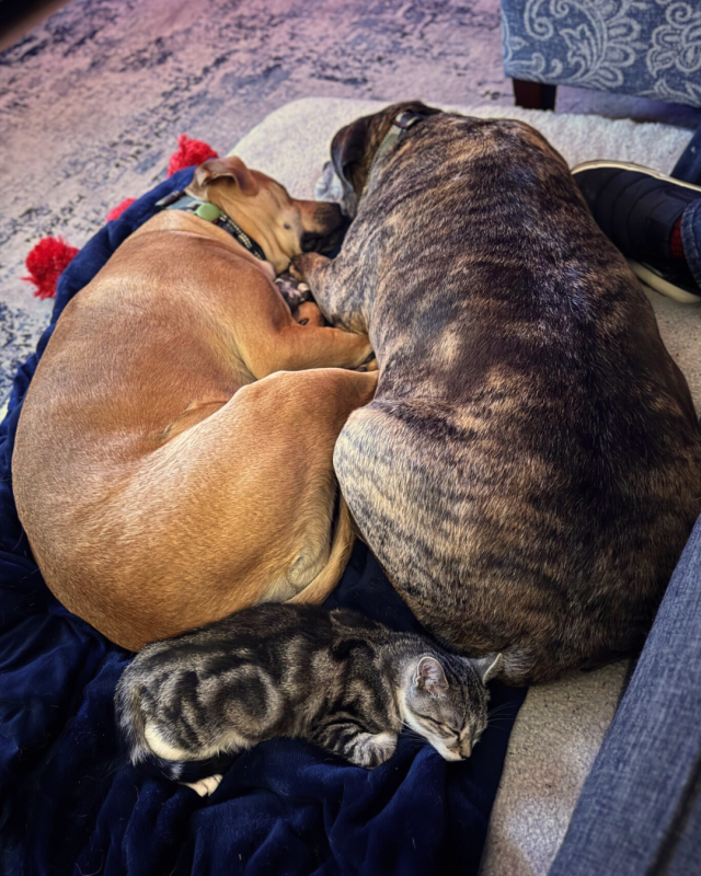 An update on our little family